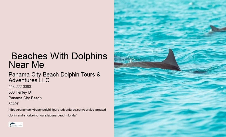Dolphin And Snorkeling