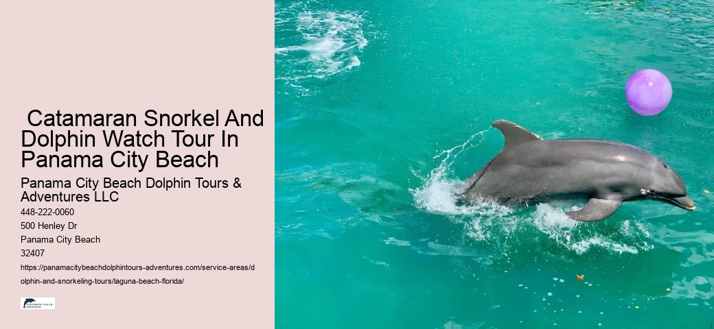 Snorkeling Deals Near Me