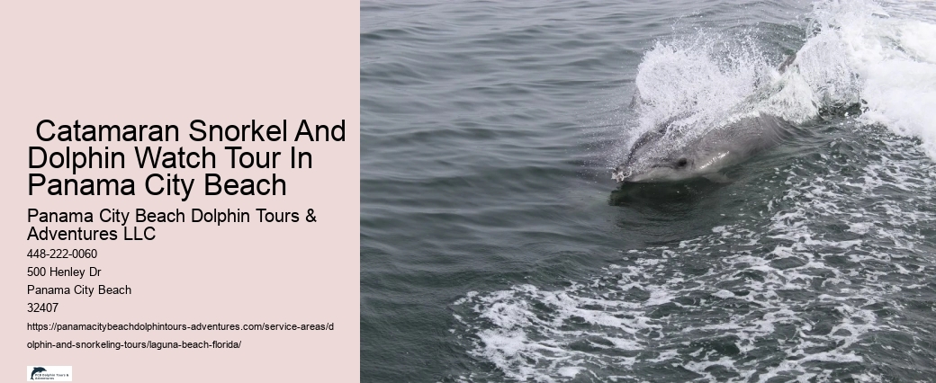 Dolphin & Sunset Cruise Aboard The Sunventure