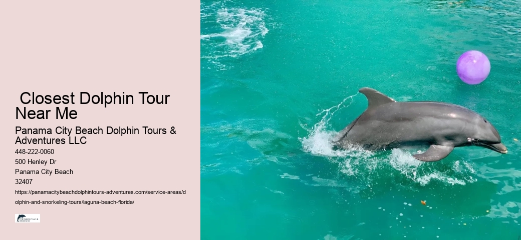 Island Tour Near Me