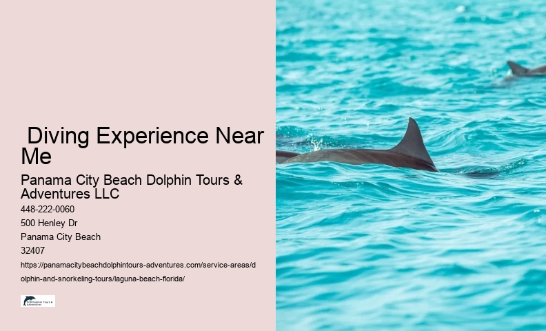 Dolphin Watching Tours Near Me