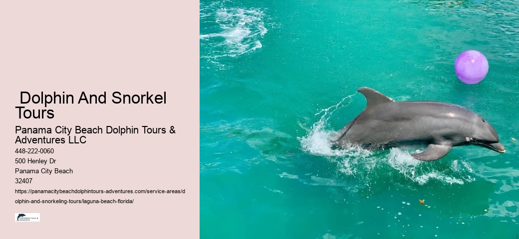 Private Dolphin Tours Near Me