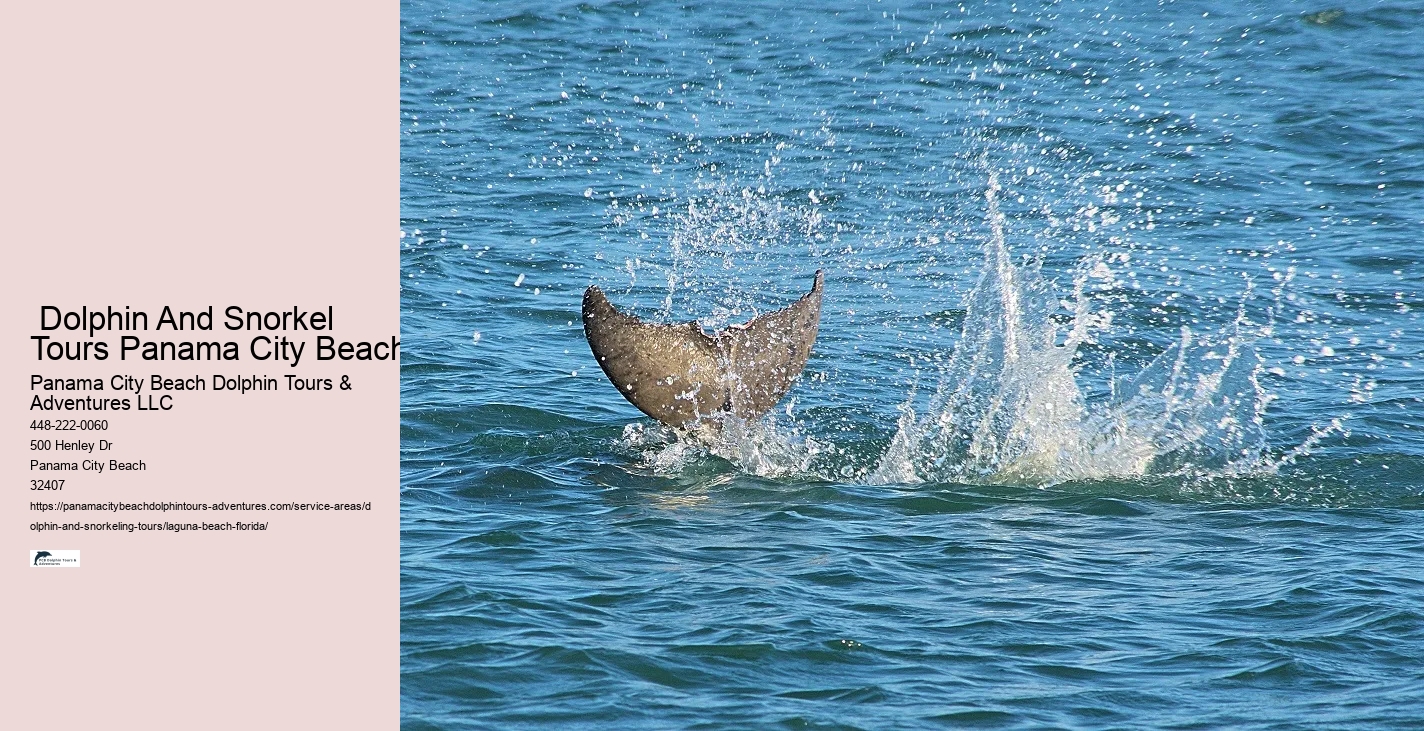 Swim With Dolphins Near Me Now