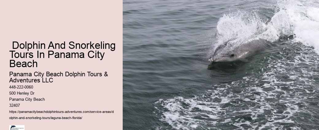 Are dolphin and snorkeling tours available for children in Laguna Beach, Florida