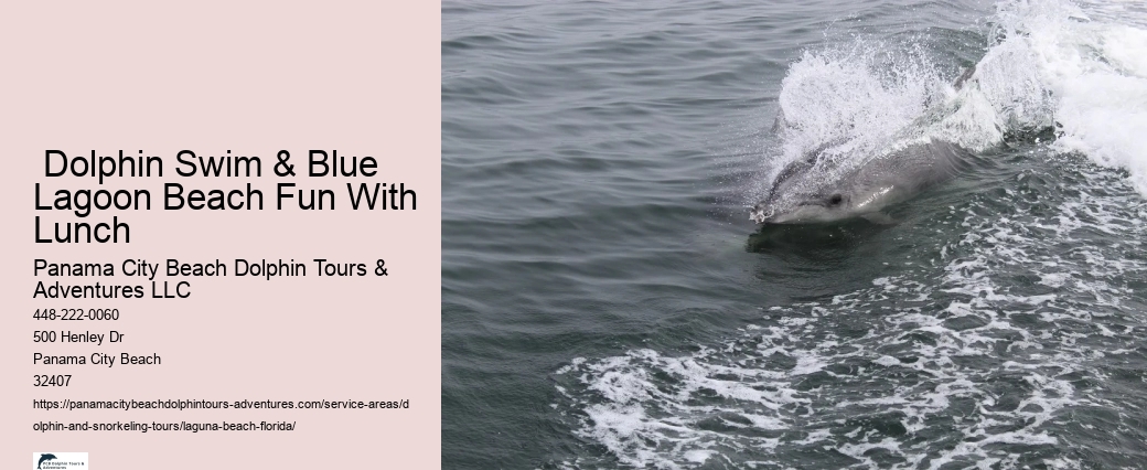 Laguna Beach Dolphin Tours