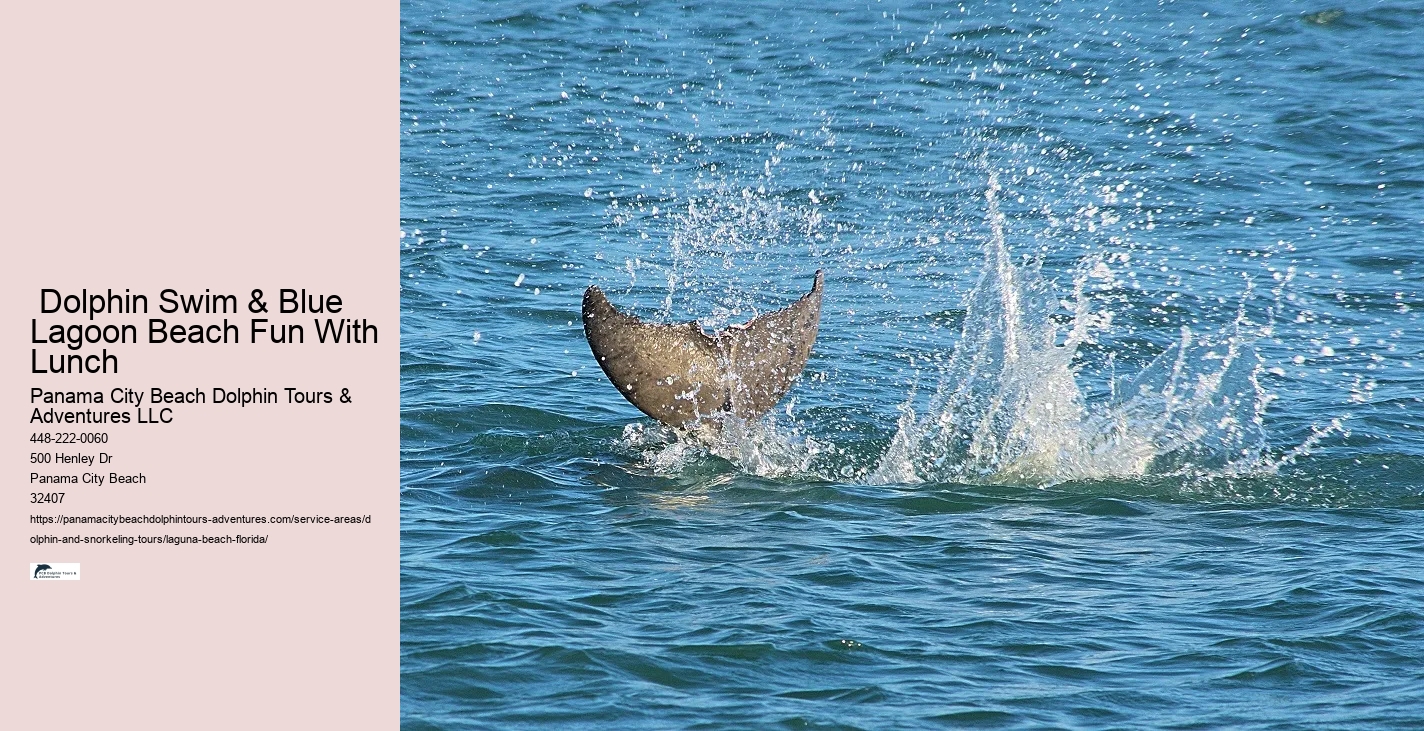 Dolphin Sightseeing Near Me
