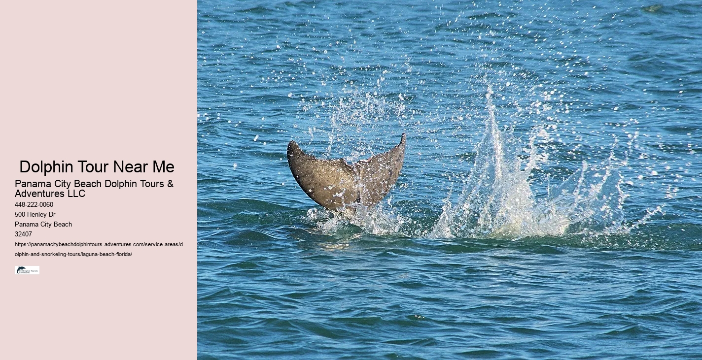 Is it ever OK to swim with dolphins