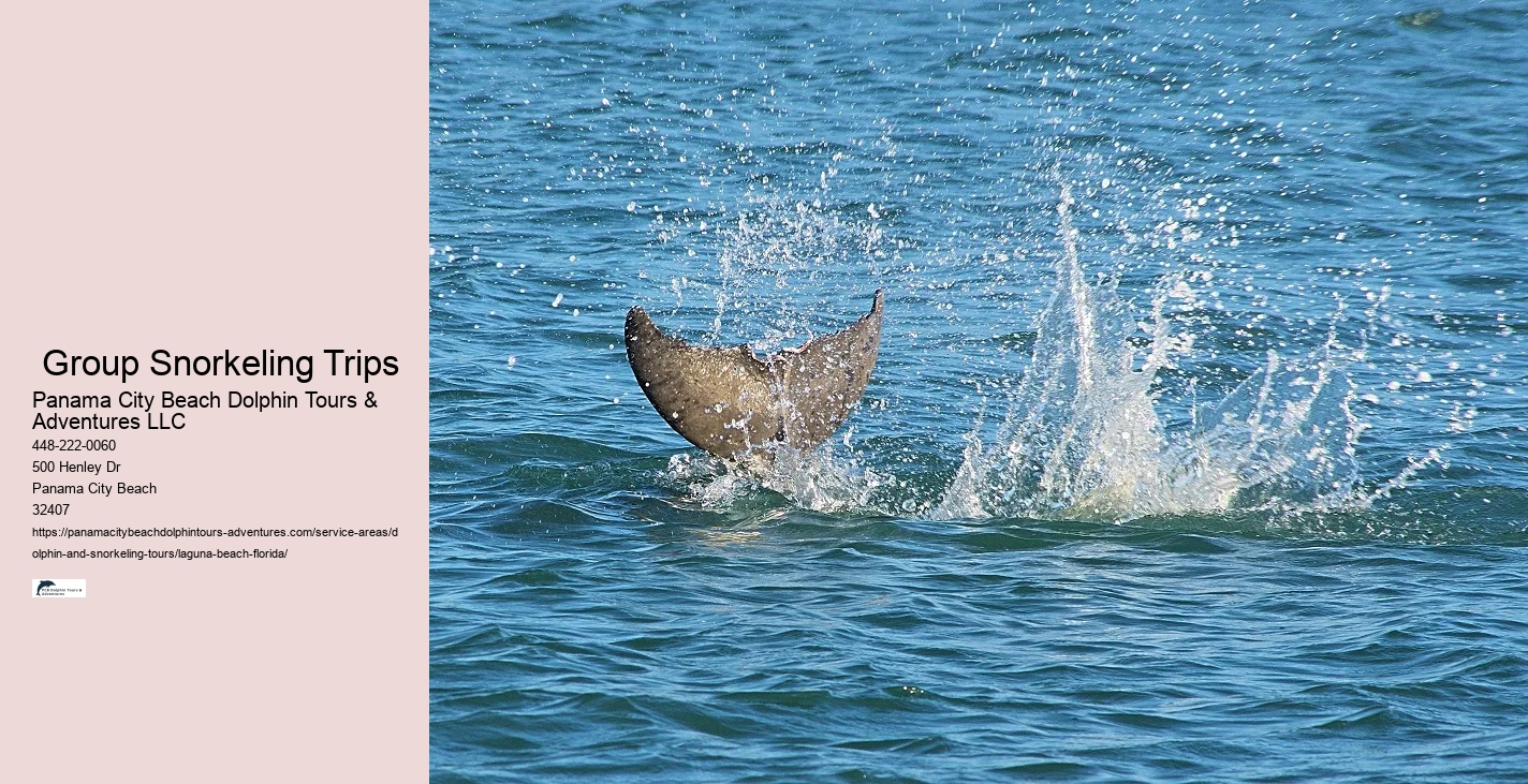 What is the most common dolphin in Florida
