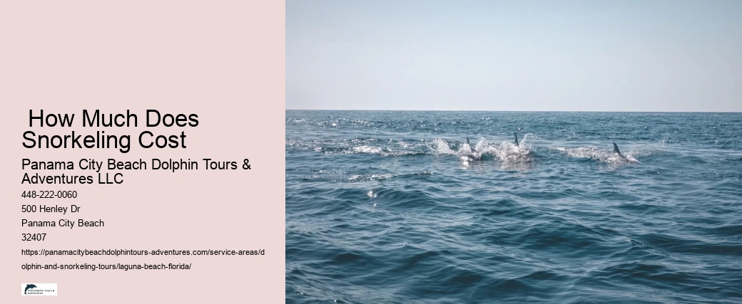 Do you need water shoes to swim with dolphins