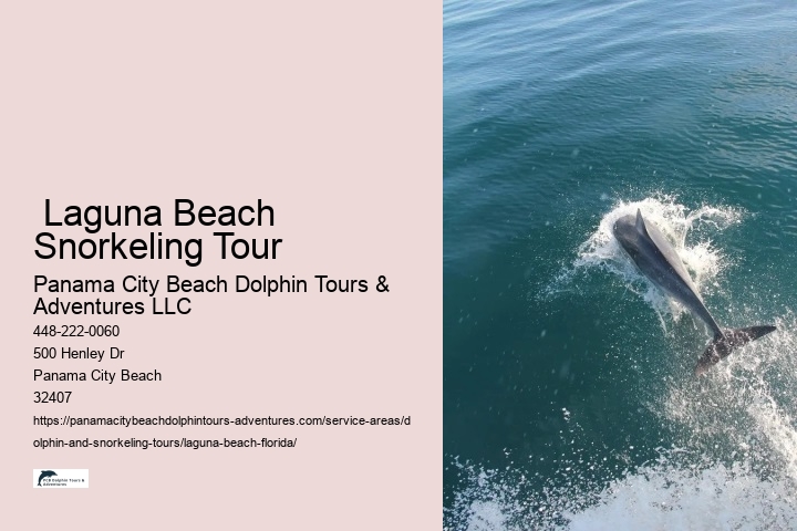  Laguna Beach Snorkeling Tour