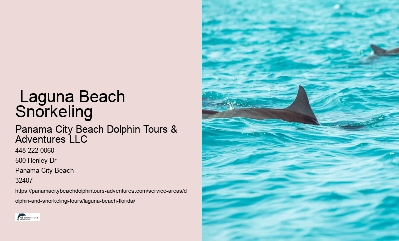 Beach Tours