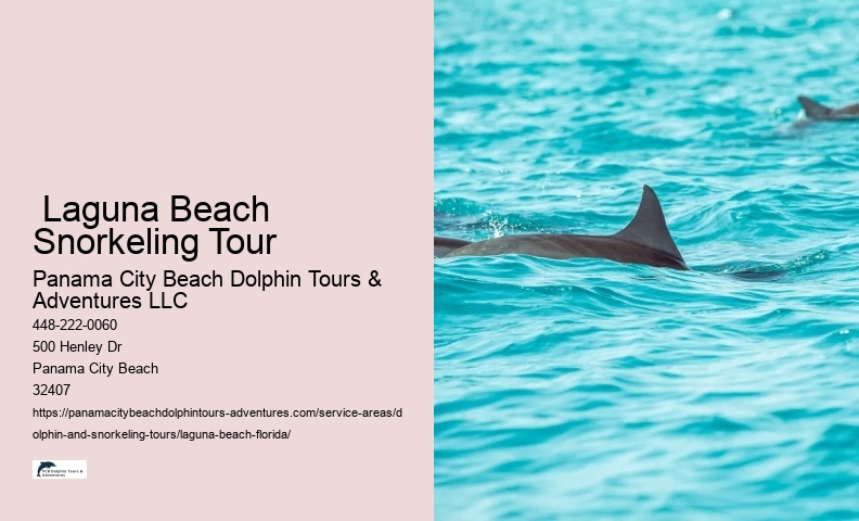 Whale And Dolphin Watching Near Me