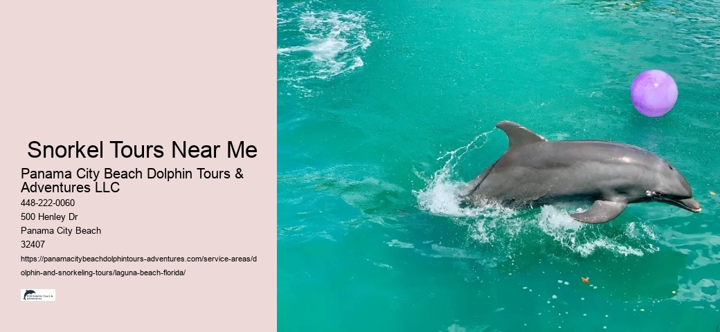 What is the difference between dolphin encounter and dolphin swim
