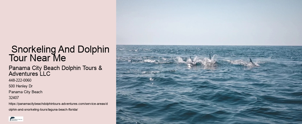 Wild Dolphins