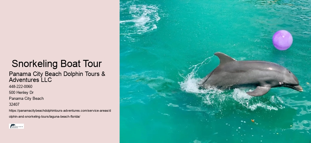 And Snorkeling Tours Laguna
