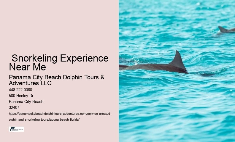 Dolphin Watching Tours Near Me