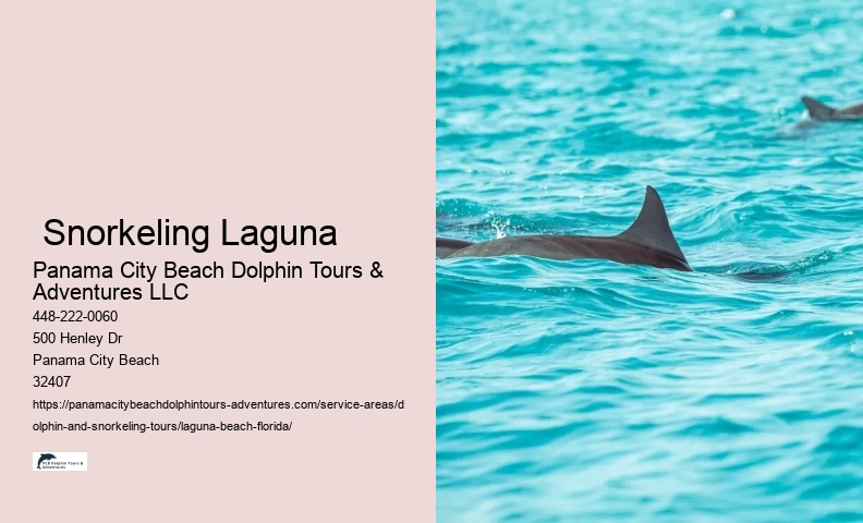 Which beach has the most dolphins