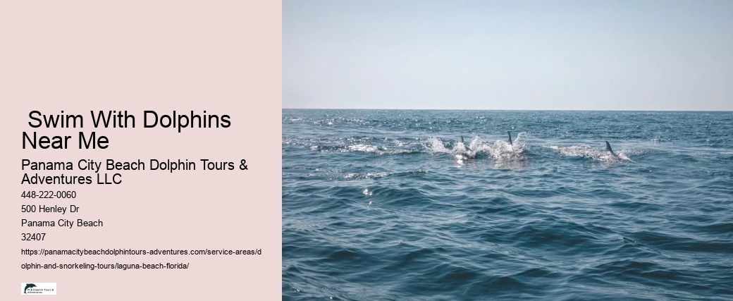 Dolphin Cruise Near Me Prices