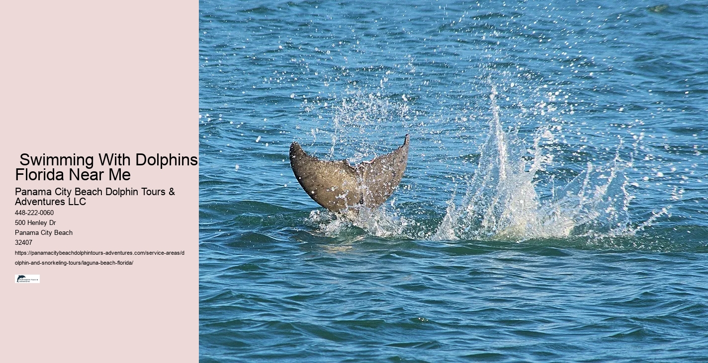 Split Charter Dolphin And Snorkeling Tours 2 Hours